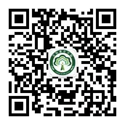 IE11及以上